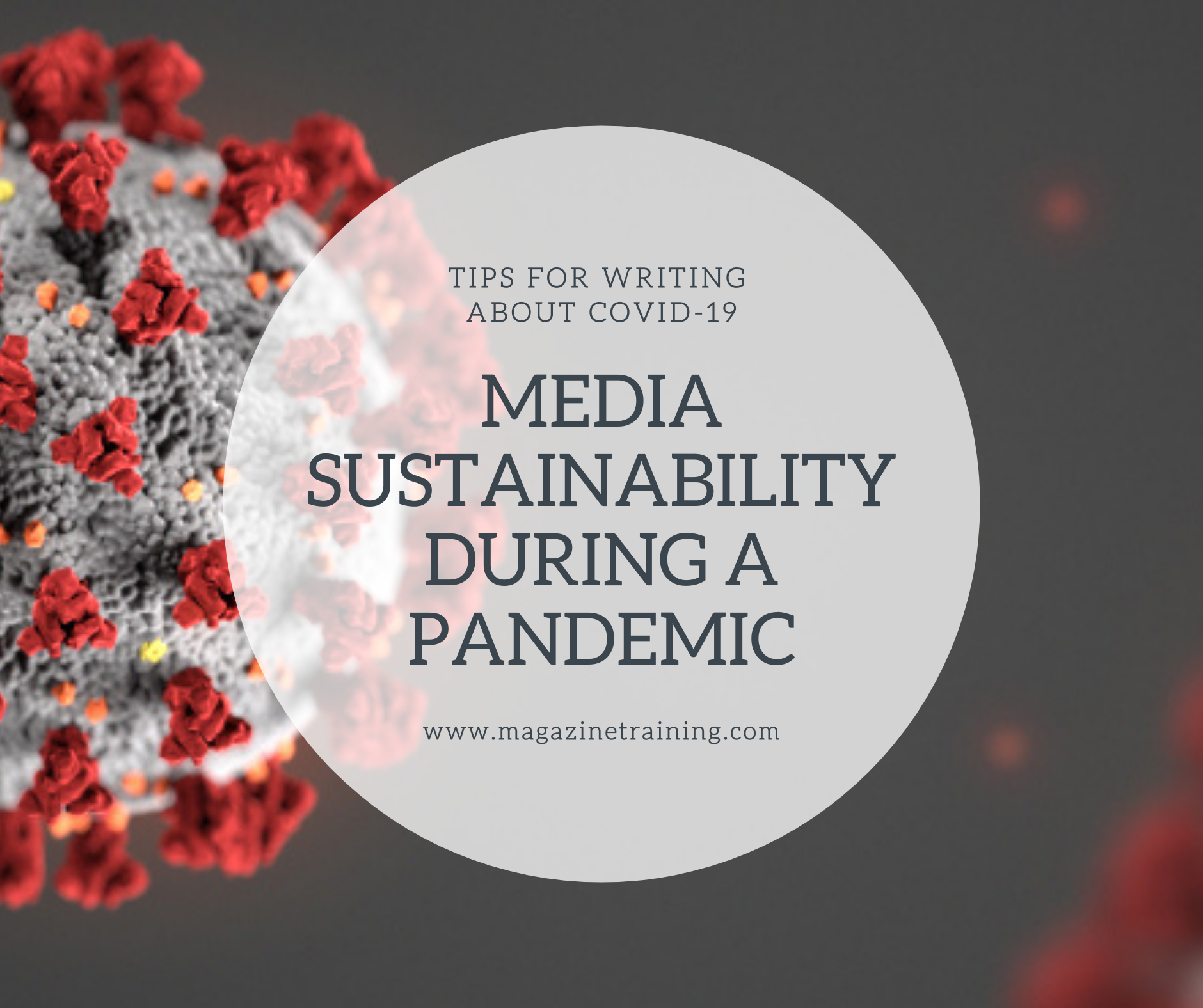 media sustainability