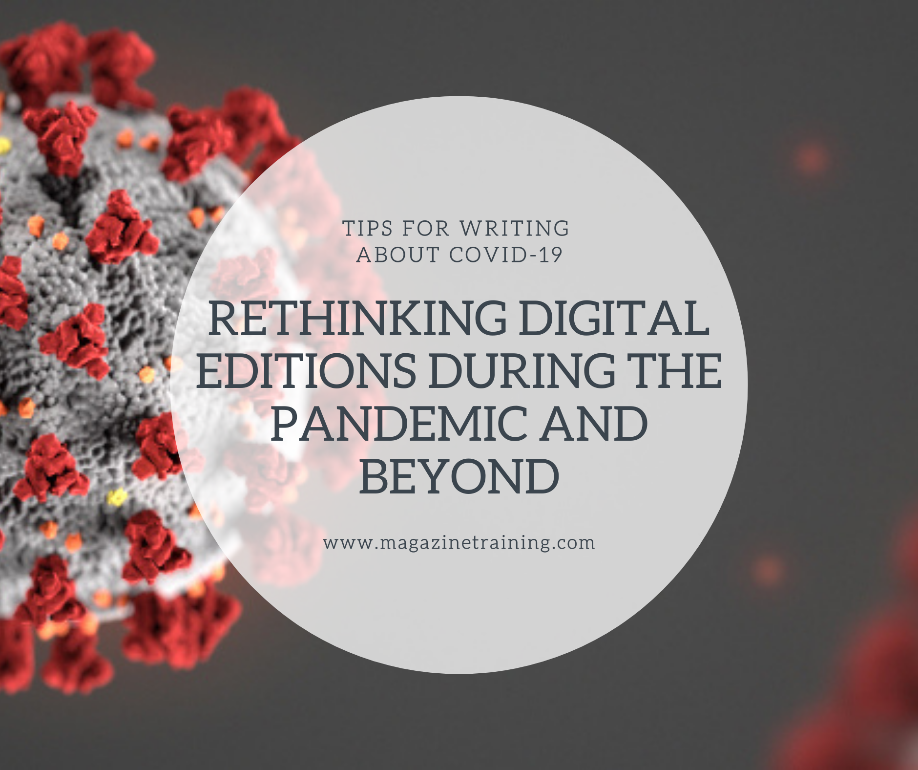 rethinking digital editions