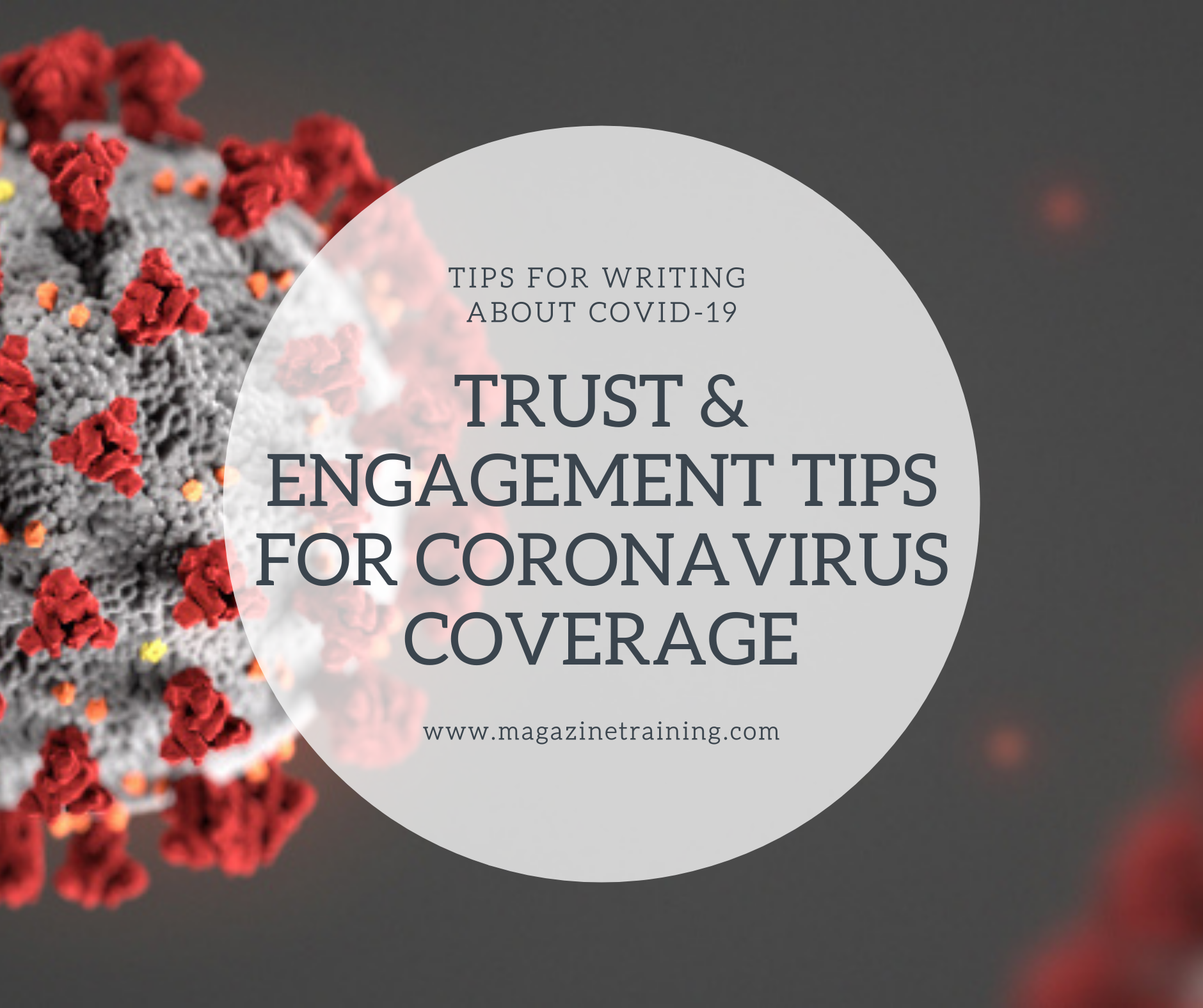 trust and engagement tips