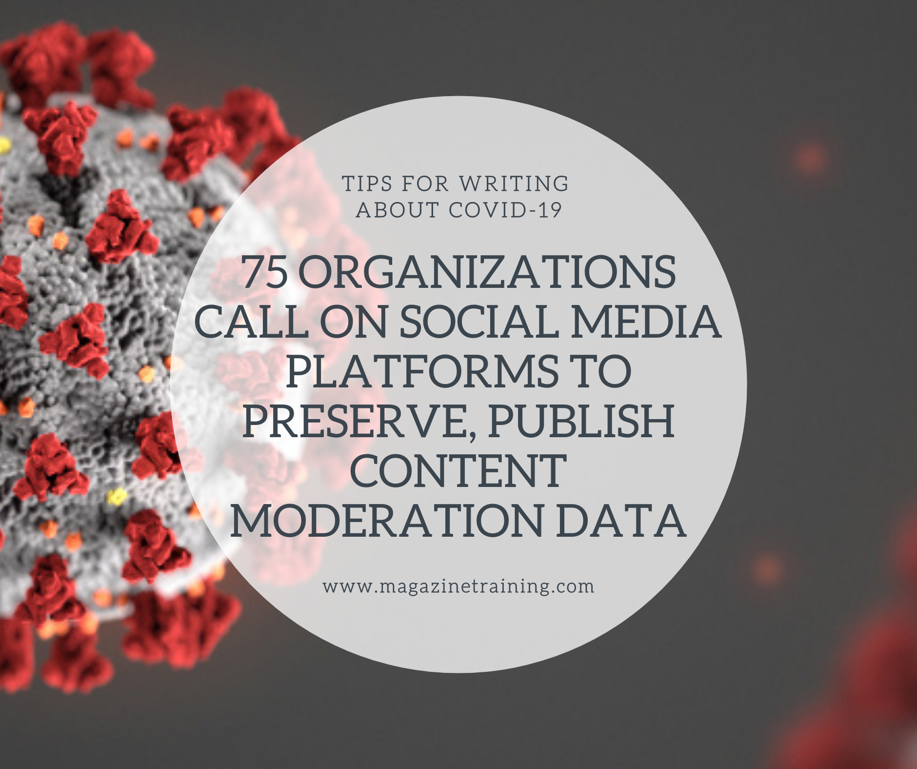 content moderation data