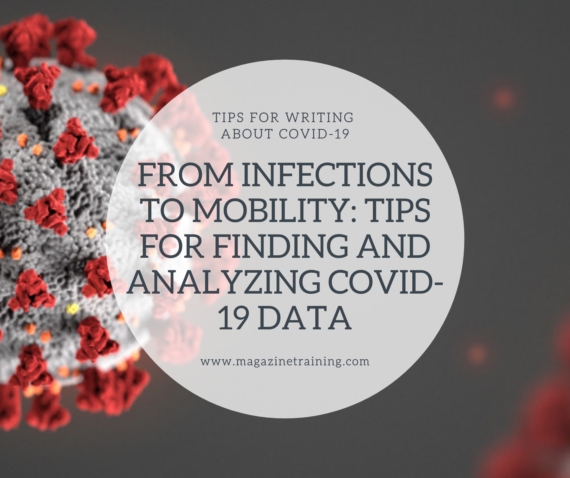 finding and analyzing COVID-19 data