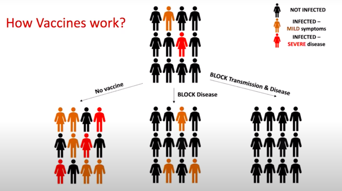 In an illustration, a group of people splits into three separate groups: No vaccine, BLOCK disease, BLOCK transmission & disease. Number of severe infections falls in group 2, but group 3 has no infections at all.