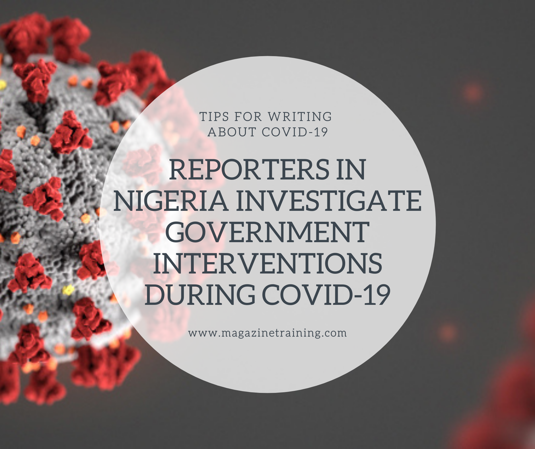 nigeria investigate government interventioins