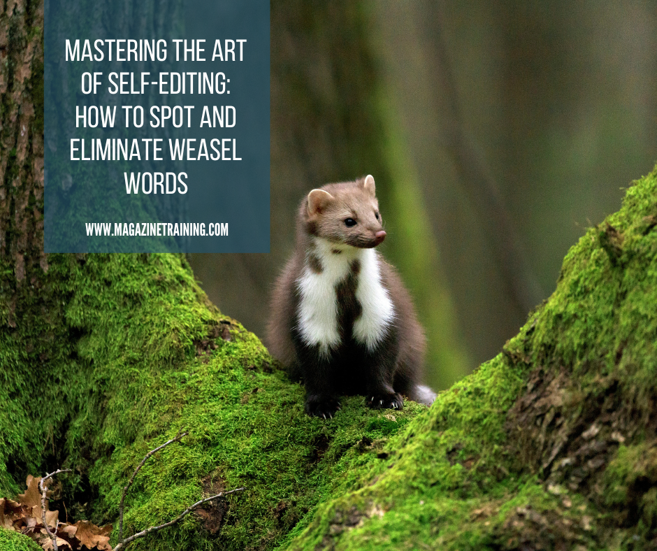 weasel standing on a moss-covered tree